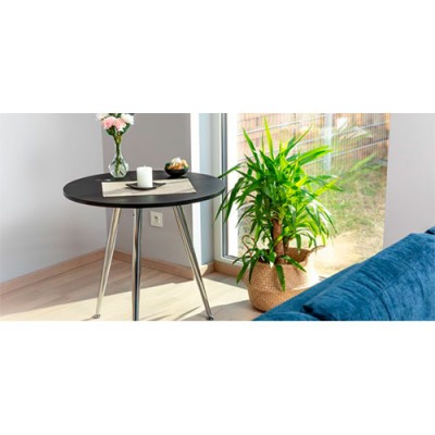 Нога 710/40 мм X-LINE конусная хром