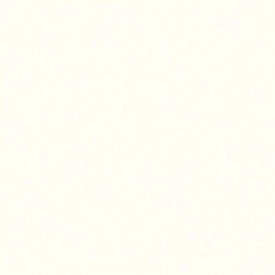 ДСП 10 мм W1000 ST38 Белый премиум* ДСП 10 мм W1000 ST38 Белый премиум*